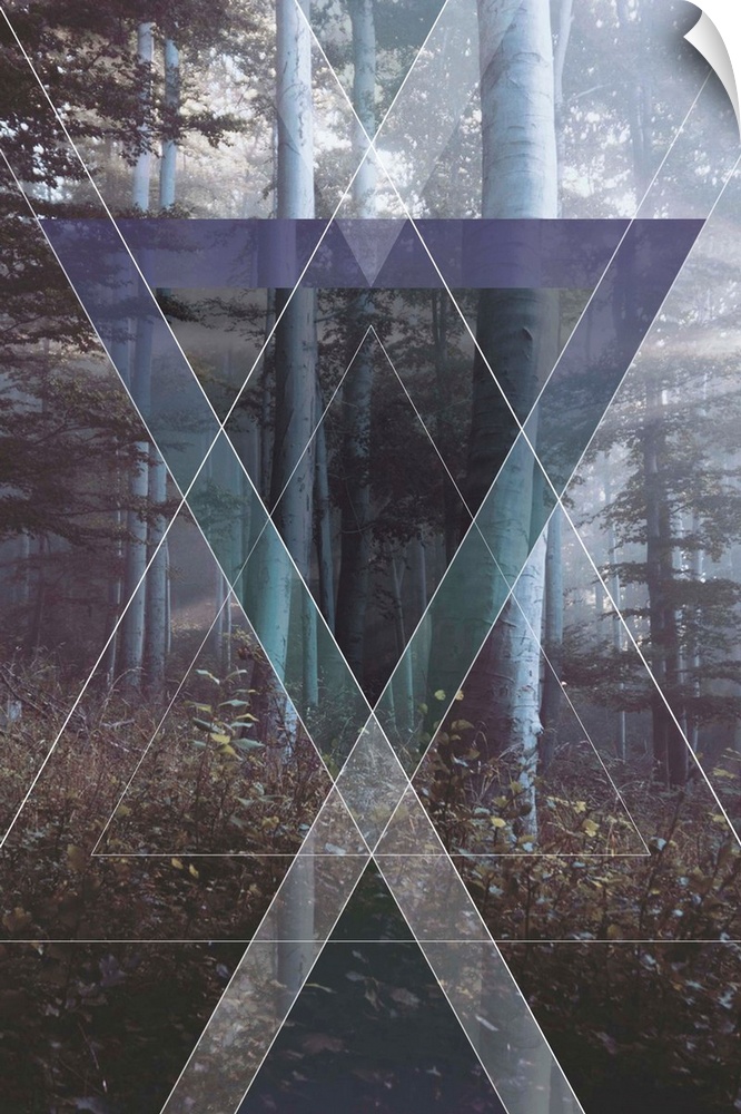 Contemporary artwork of a formation of prisms against a background of a forest.