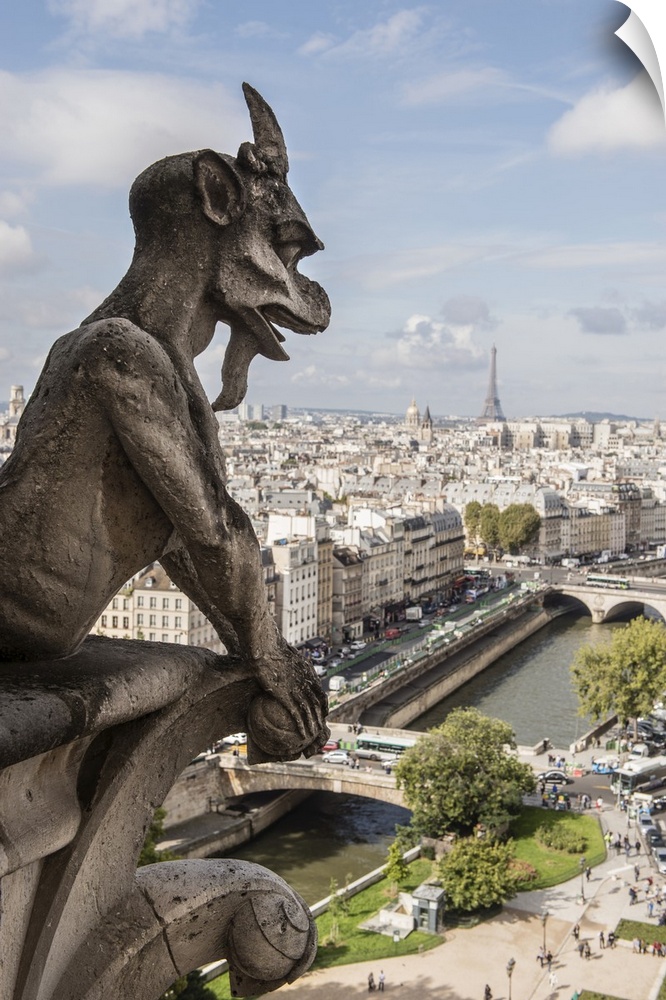Close-up photograph of a gargoyle looking over Paris.