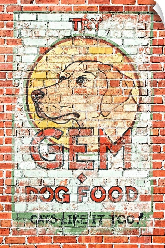 Advertisement for dog food painting on a brick wall, American Tobacco Historic District, Durham, North Carolina.