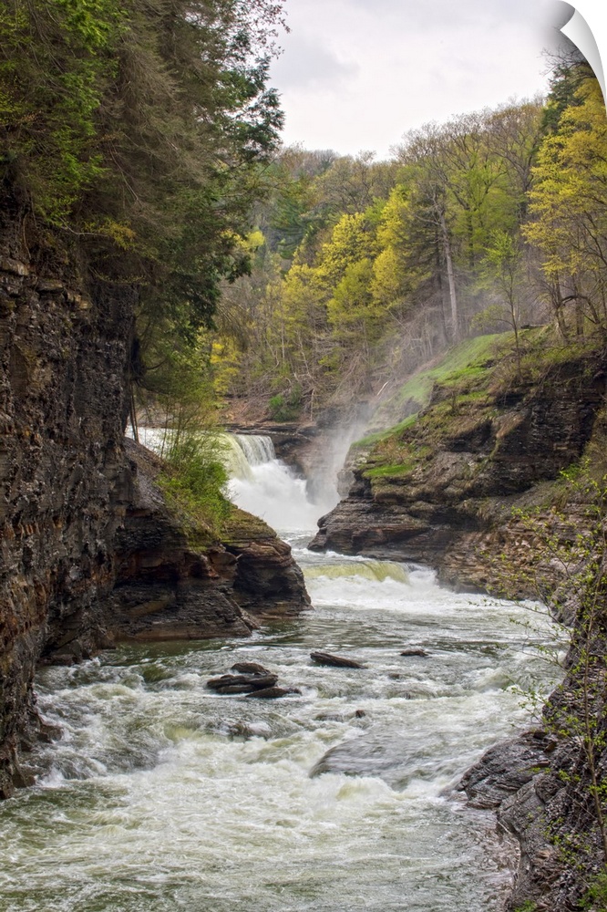 Landscape photograph of the Genesee River rushing through Letchworth State Park with a waterfall in the background.