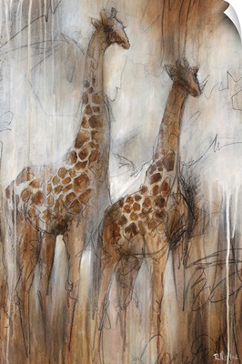 Giraffe Study