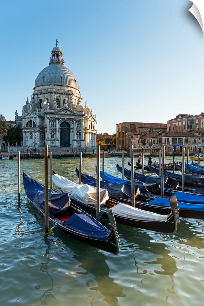 Photograph of gondolas lined up in a row in front of Santa Maria della Salute, Venice, Italy, Europe