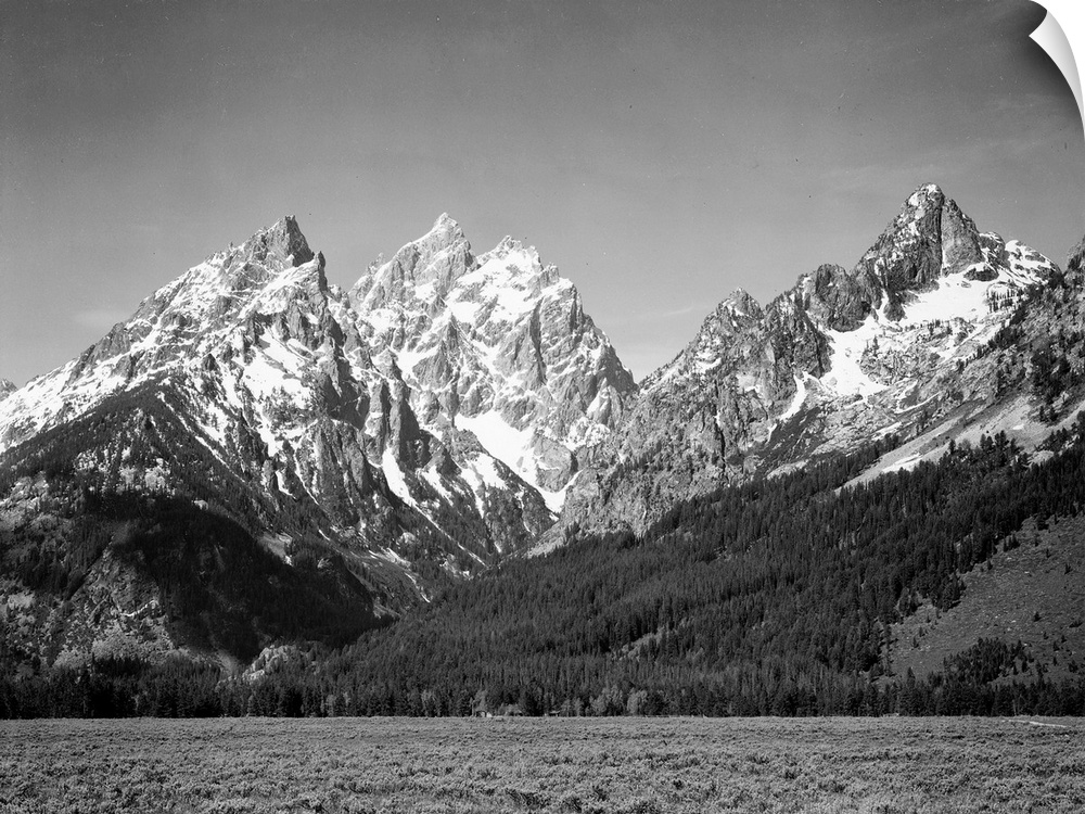 Grand Teton, grassy valley, tree covered mountain side and snow covered peaks.