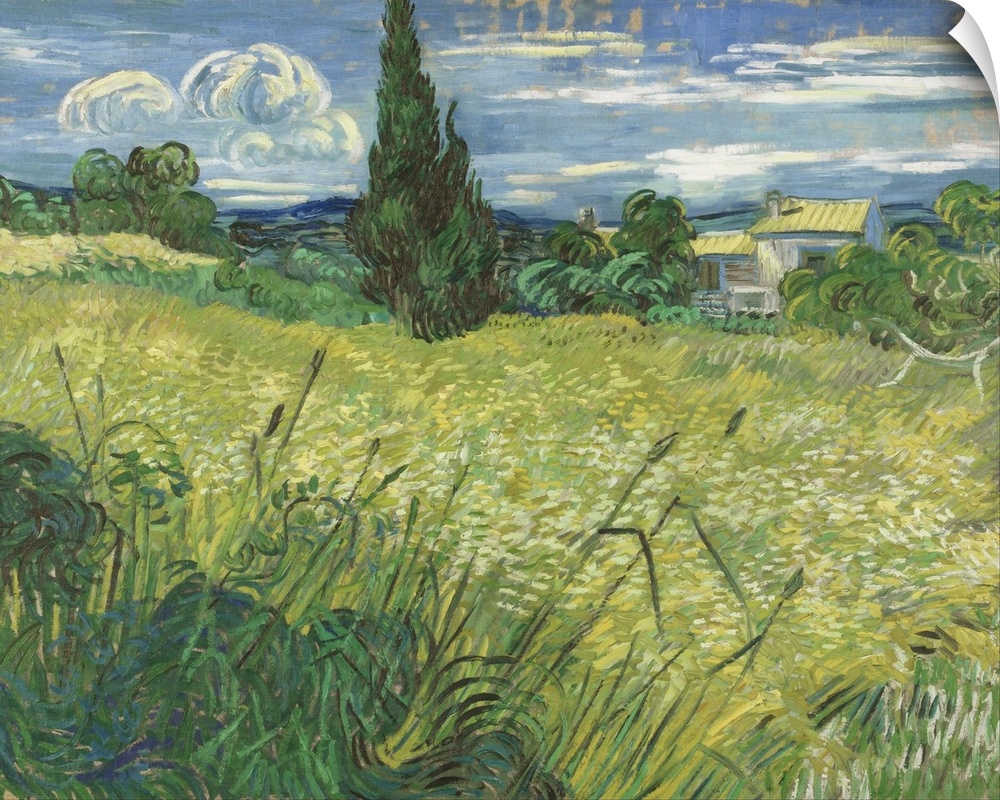 Vincent van Gogh - Green Field.