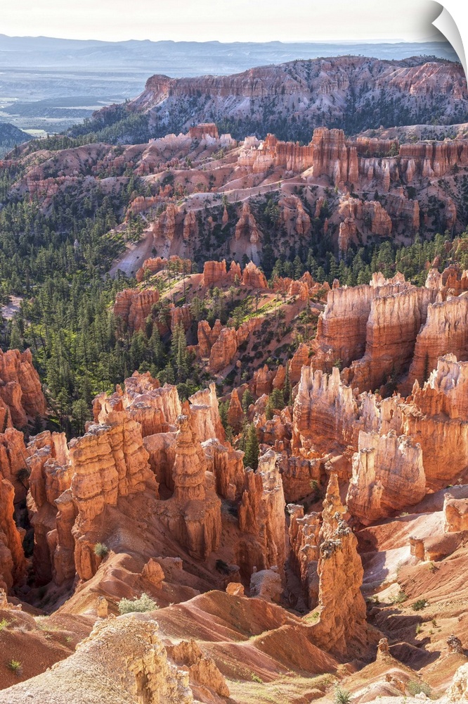 Rocky hoodoos and lush pine forests contrast in Bryce Canyon National Park, Utah.