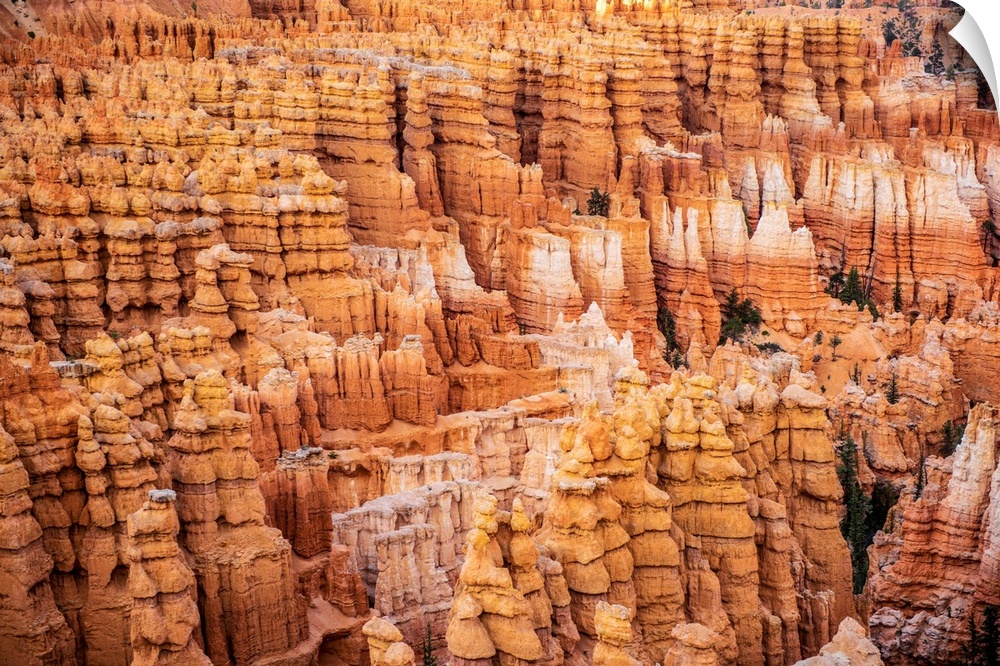 View of irregularly eroded spires of rocks. These rocks are also known as Hoodoos.