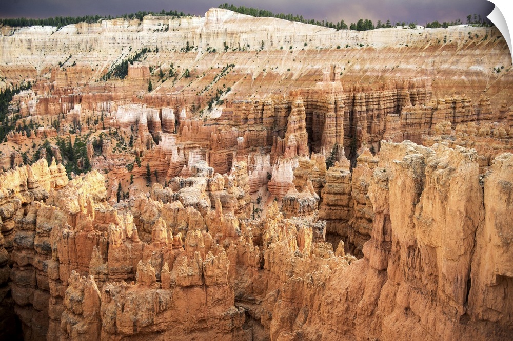 Orange sedimentary rocks form spire-like hoodoo structures in the Bryce Canyon Amphitheater in Bryce Canyon National Park,...
