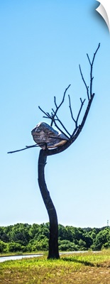 Ideas of Stone - Elm, sculpture at the North Carolina Art Museum