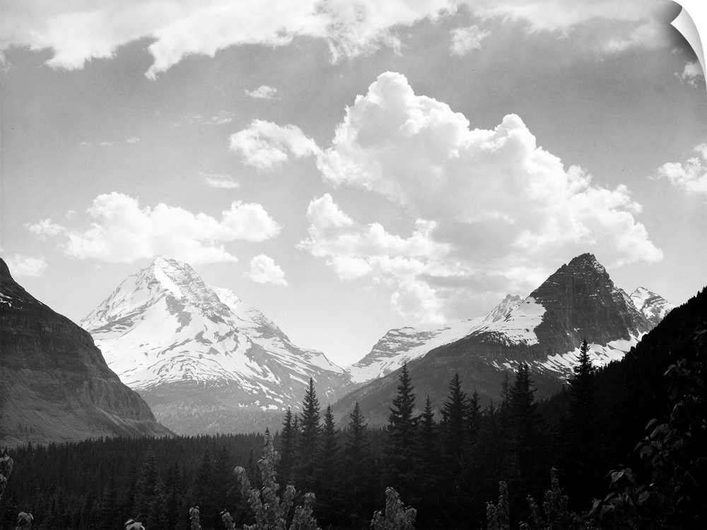 In Glacier National Park, looking across forest to mountains and clouds.