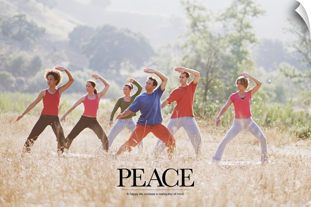 Uplifting poster with a group of people doing yoga and meditation exercises in a grassy field with a quote at the bottom.