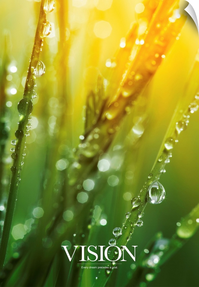 Inspirational picture of morning dew on blades of grass as the sun shines down.
