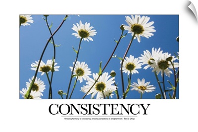 Inspirational Motivational Poster: Knowing harmony is consistency
