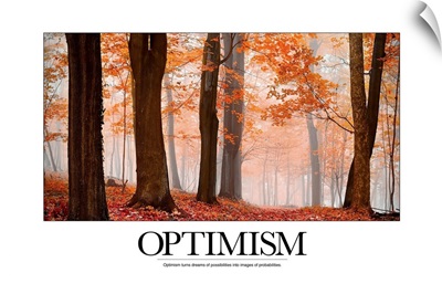 Inspirational Motivational Poster: Optimism