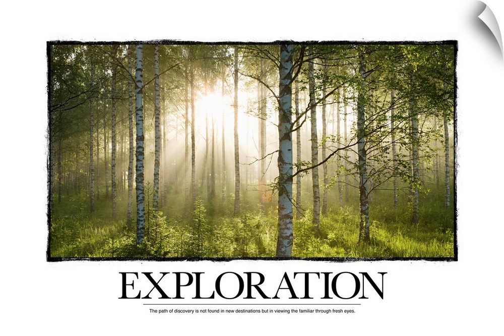 Big canvas print of a forest with a blinding sun shining through and text at the bottom.