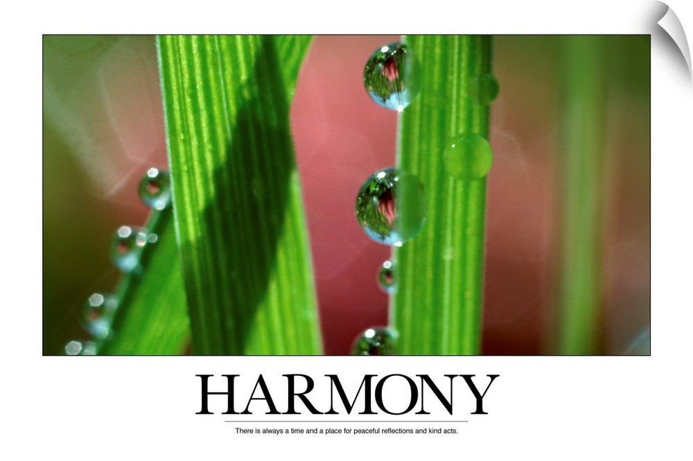 Harmony: There is always a time and a place for peaceful reflections and kind acts.