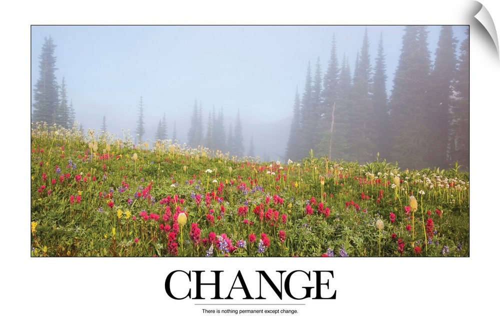 Change: There is nothing permanent except change.