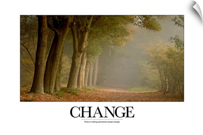 Inspirational Motivational Poster: There is nothing permanent except change