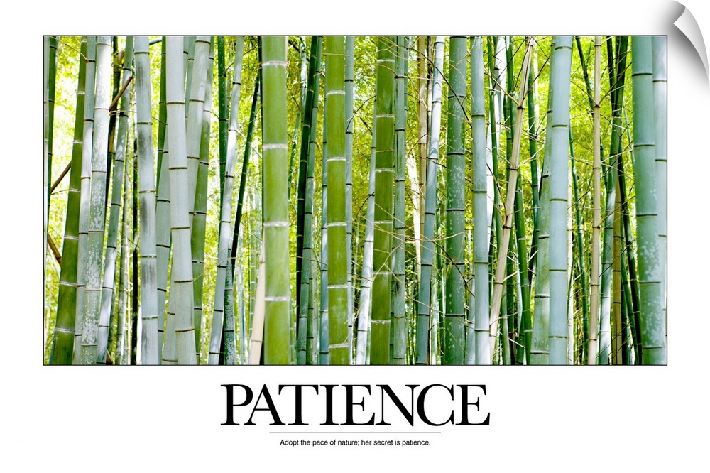 Patience: Adopt the pace of nature; her secret is patience.