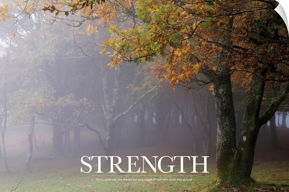 Large motivational art for the word "STRENGTH" lists a funny anecdote about being strong in one's life.  Artist places tex...