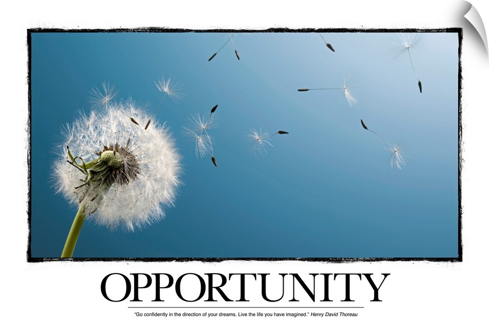 Opportunity: "Go confidently in the direction of your dreams. Live the life you have imagined." Henry David Thoreau