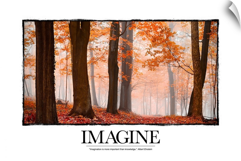 Imagine: Imagination is more important than knowledge. Albert Einstein