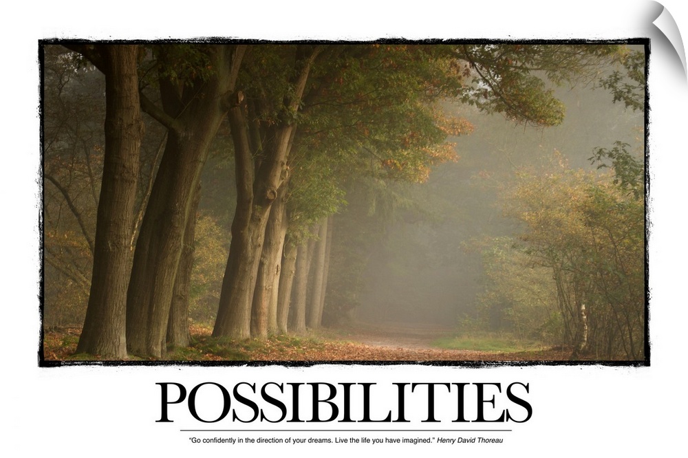 Possibilities: Go confidently in the direction of your dreams. Live the life you have imagined. Henry David Thoreau