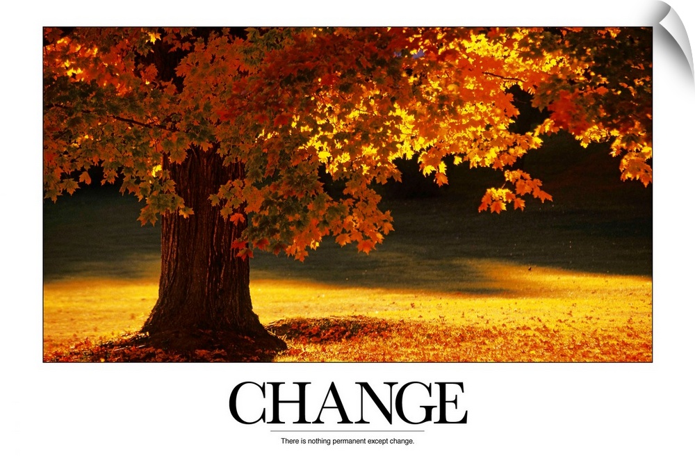 Large inspirational wall art of an autumn tree full of colorful leaves and the word "Change" at the bottom.