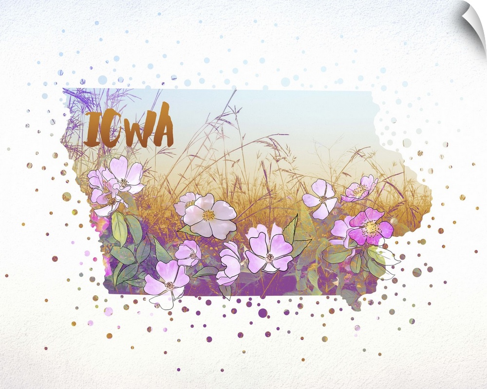 Outline of the state of Iowa filled with its state flower, the Wild Rose.