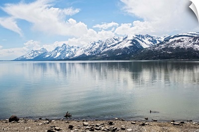 Jackson Lake - Grand Tetons