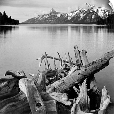 Jackson Lake With Teton Range, View Looking Southwest From North End Of The Lake