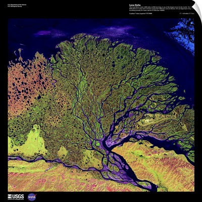Lena Delta - USGS Earth as Art