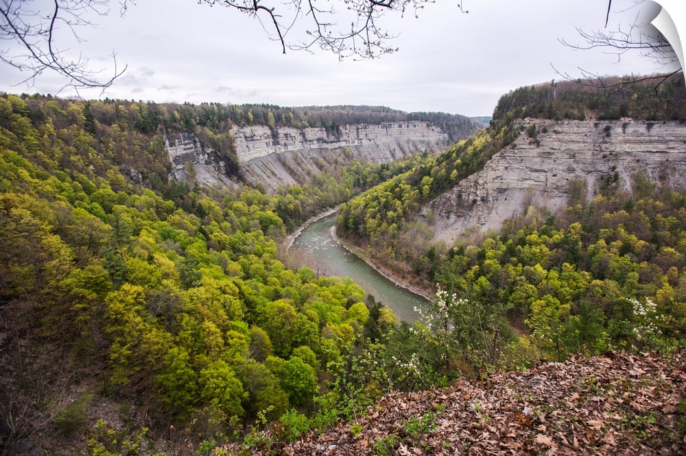 Landscape photograph of the Genesee River bend in Letchworth State Park, NY, surrounded by trees in all shades of green.