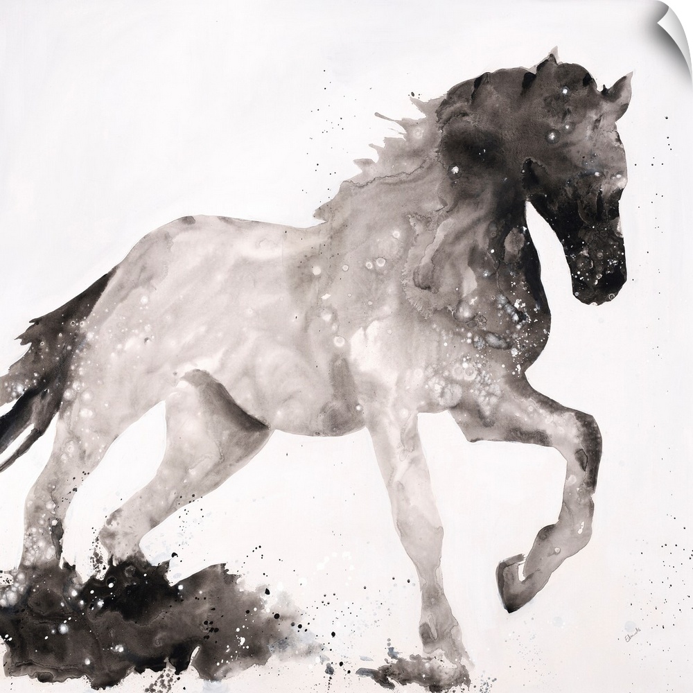 Silhouette of a horse with its front leg up in shades of black and gray on a white, square background.