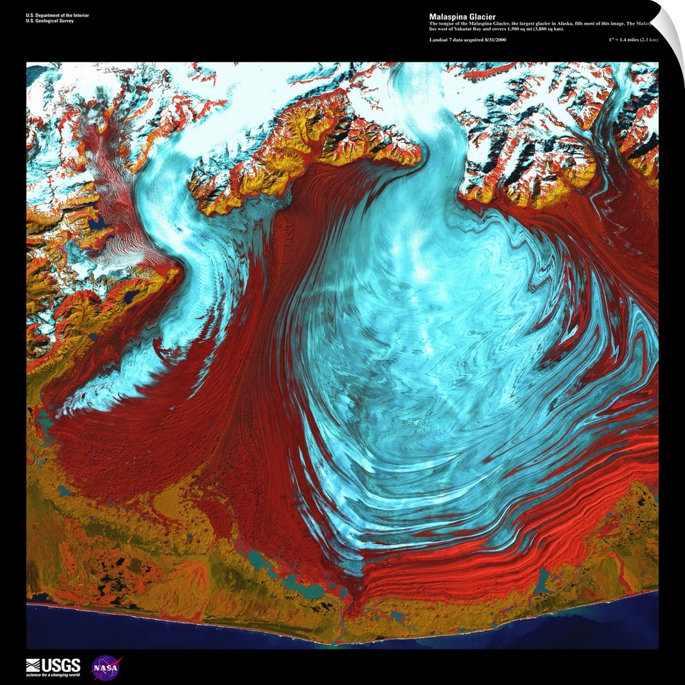 The tongue of the Malaspina Glacier, the largest glacier in Alaska, fills most of this image. The Malaspina lies west of Y...