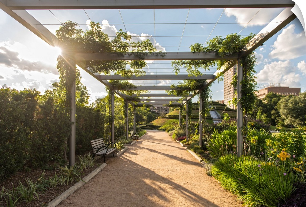 Dirt path lined with beautiful plants and flowers under a pergola in McGovern Centennial Gardens at Hermann Park in Houston.
