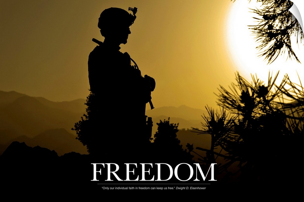 Inspirational artwork for freedom showing the silhouette of a standing soldier created by the setting sun with Dwigth D. E...