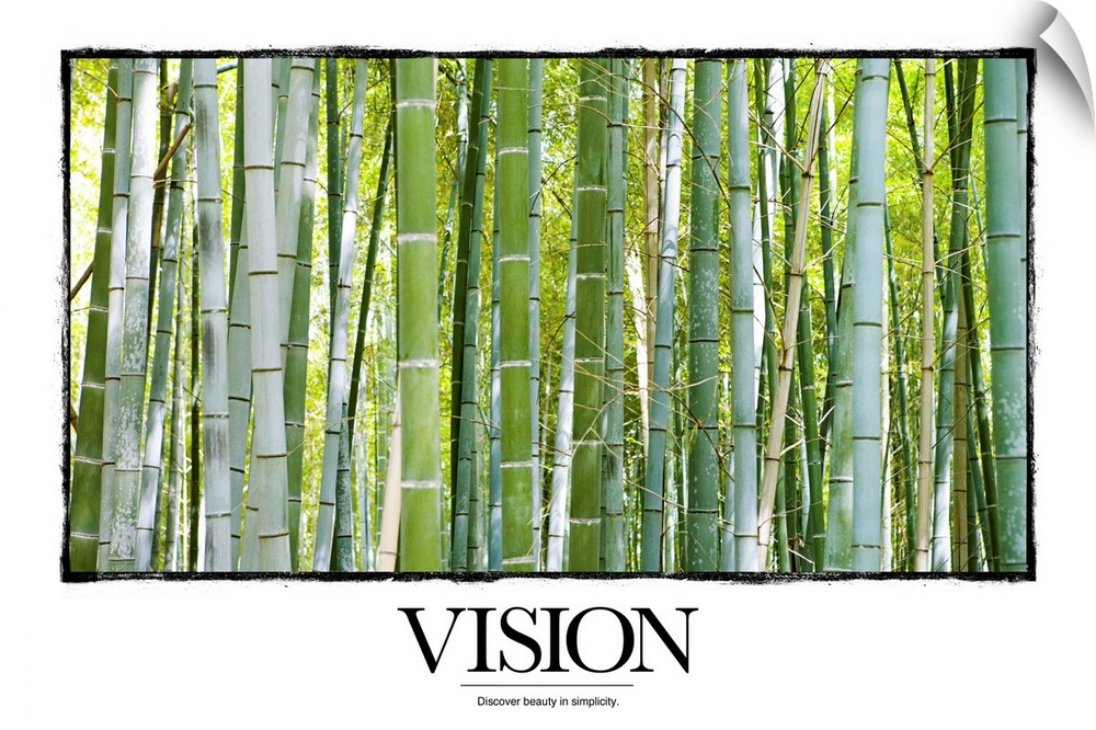 Vision: Discover beauty in simplicity.