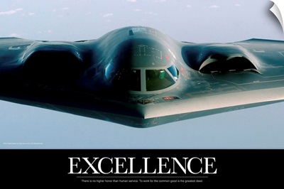 Motivational Poster: Excellence