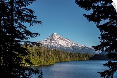 Mount Hood From Lost Lake Wilderness, Portland, Oregon