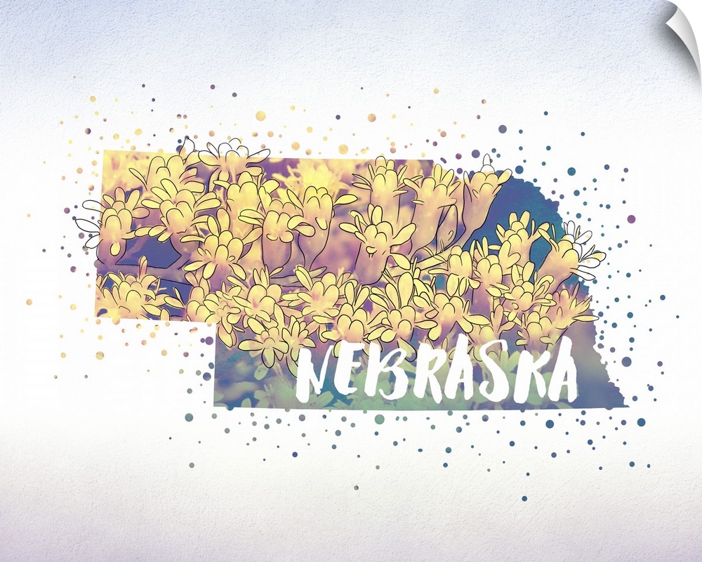 Outline of the state of Nebraska filled with its state flower, the Goldenrod.