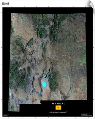 New Mexico - USGS State Mosaic