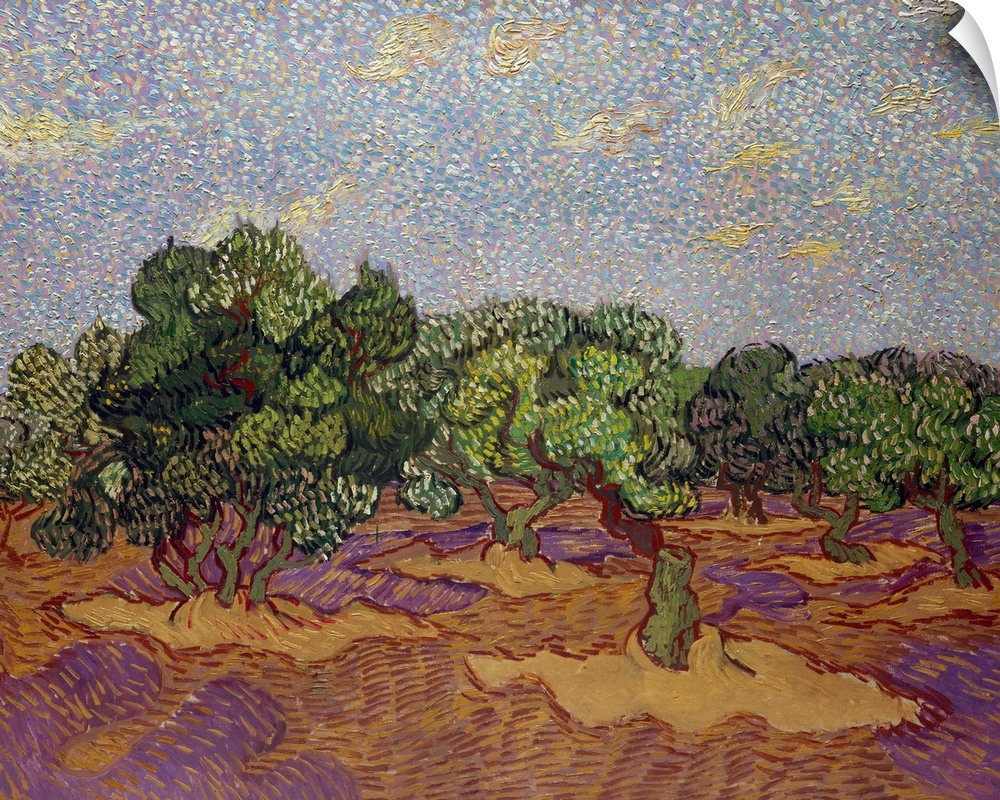 This is one of five pictures of olive orchards that Van Gogh made in November 1889. Painted directly from nature but anima...