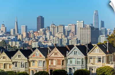 Painted Ladies with the San Francisco Skyline