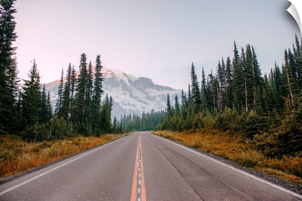 View of the road to Mount Rainier, Mount Rainier National Park, Washington.