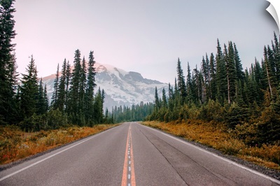 Paradise Valley Road, Mount Rainier National Park, Washington
