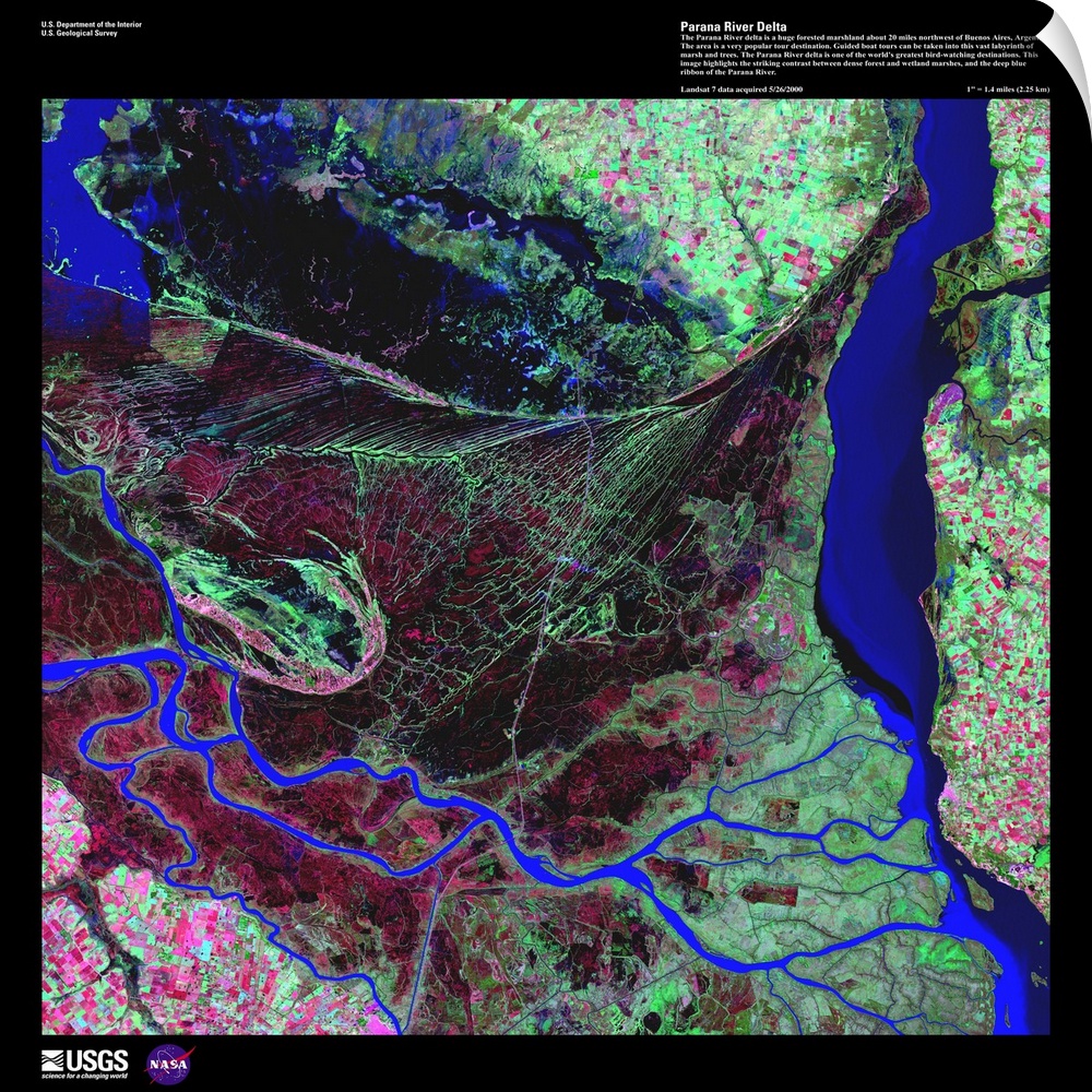 The Parana River delta is a huge forested marshland about 32km northeast of Buenos Aires, Argentina. The area is a very po...