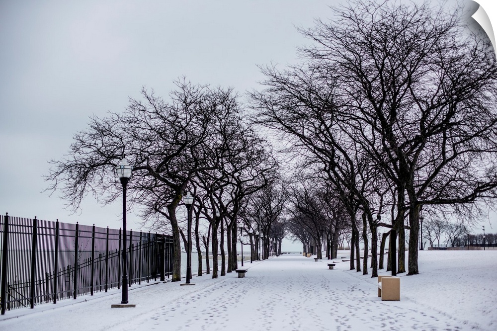 Photo of a snowy day in Chicago.