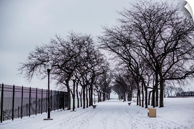 Park in Chicago in the Winter