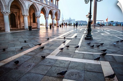 Piazza San Marco (St. Mark's Square) Pigeons, Venice, Italy, Europe