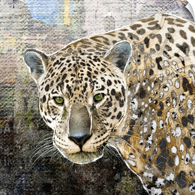 Pop Art - Jaguar